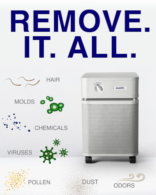 AUSTIN Air Purifier Healthmate Jr. PLUS W. HEPA Filter and 3 Speed Control NEW WITH 5 YR. WARRANTY